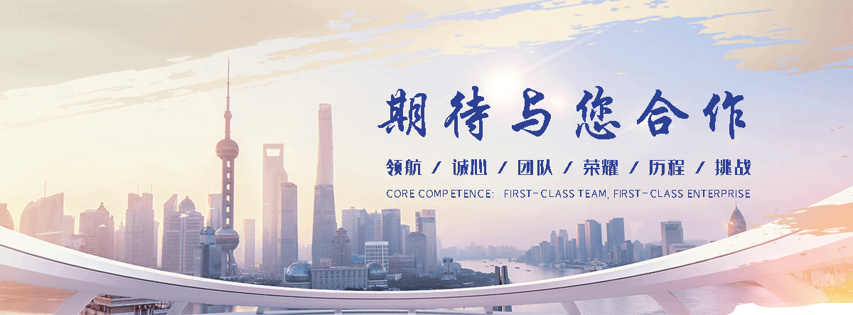伊春主动边坡防护网